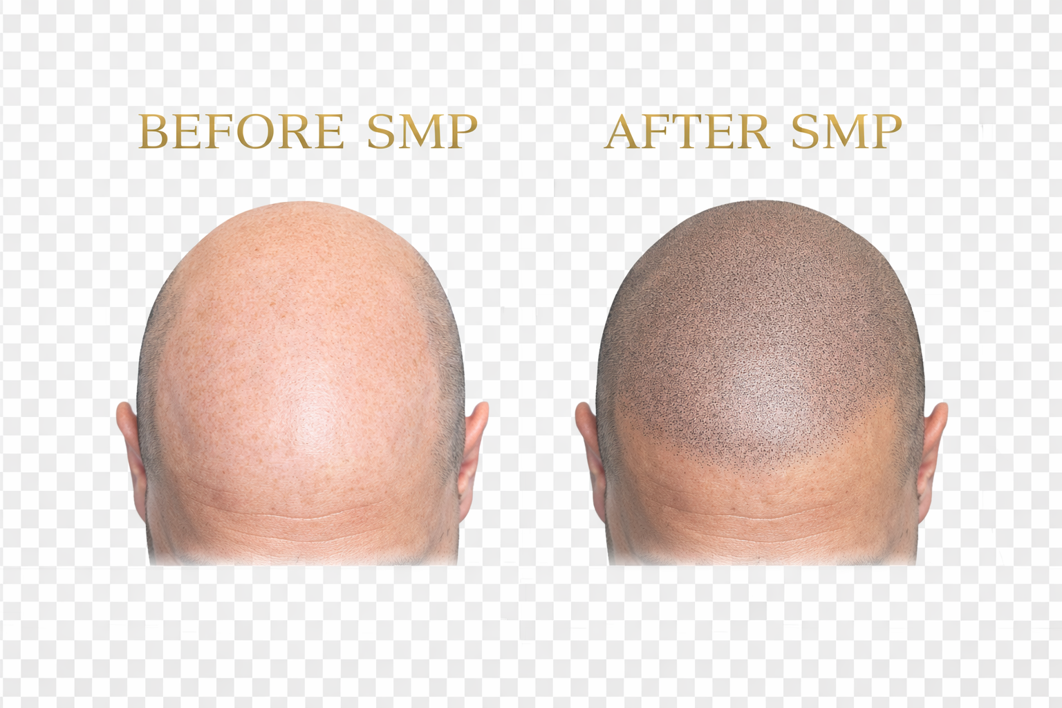 A_Digital_Comparison_Graphic_In_The_Requested_Form (2)